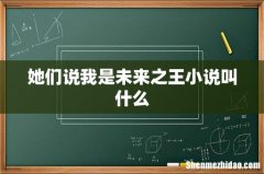 她们说我是未来之王小说叫什么