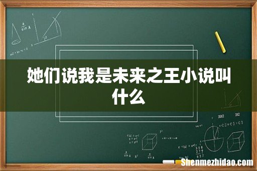 她们说我是未来之王小说叫什么