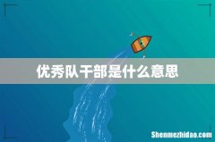 优秀队干部是什么意思