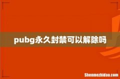 pubg永久封禁可以解除吗