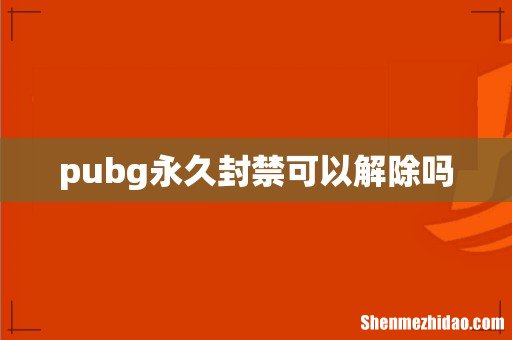 pubg永久封禁可以解除吗