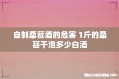 自制桑葚酒的危害 1斤的桑葚干泡多少白酒
