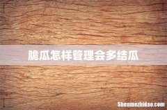 脆瓜怎样管理会多结瓜