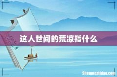 这人世间的荒凉指什么