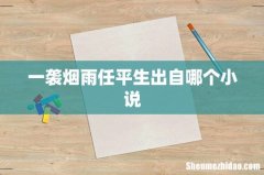 一袭烟雨任平生出自哪个小说