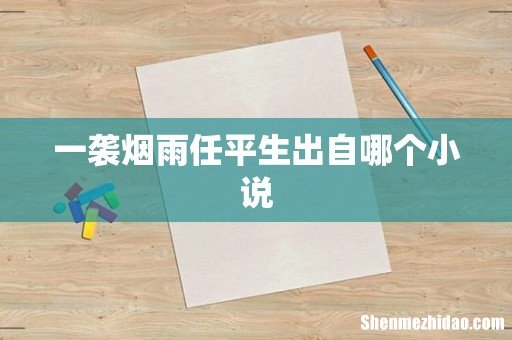一袭烟雨任平生出自哪个小说