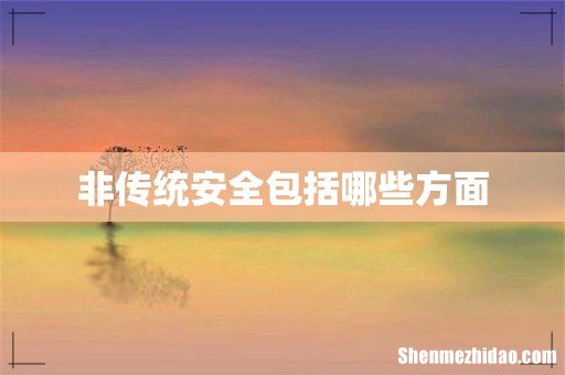 非传统安全包括哪些方面