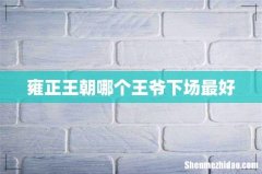 雍正王朝哪个王爷下场最好