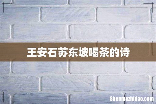 王安石苏东坡喝茶的诗