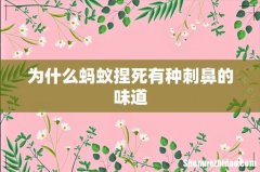 为什么蚂蚁捏死有种刺鼻的味道
