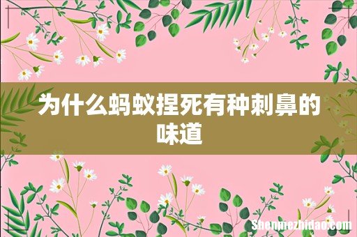 为什么蚂蚁捏死有种刺鼻的味道