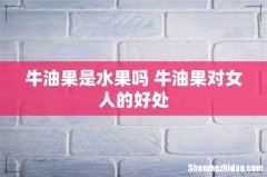 牛油果是水果吗 牛油果对女人的好处
