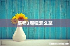 巫师3魔镜怎么拿
