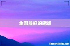 全国最好的蟋蟀