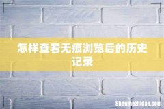 怎样查看无痕浏览后的历史记录