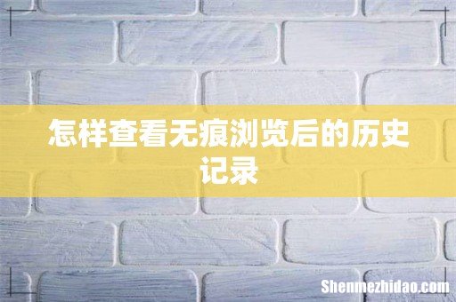 怎样查看无痕浏览后的历史记录