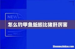 怎么钓甲鱼蚯蚓比猪肝厉害