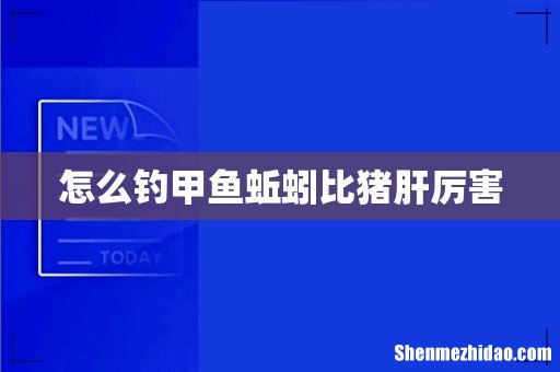怎么钓甲鱼蚯蚓比猪肝厉害
