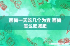 西梅一天吃几个为宜 西梅怎么吃减肥