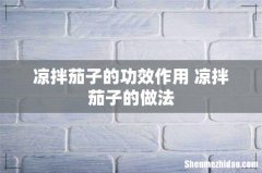 凉拌茄子的功效作用 凉拌茄子的做法