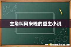 主角叫风来晚的重生小说