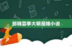 邹晓芸李大明是啥小说