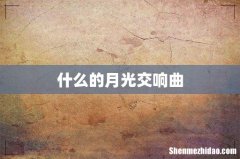 什么的月光交响曲