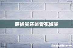 藤椒贵还是青花椒贵