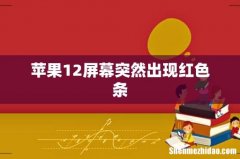 苹果12屏幕突然出现红色条