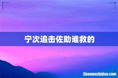 宁次追击佐助谁救的
