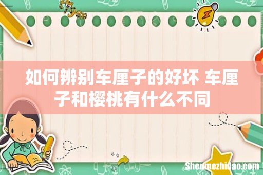 如何辨别车厘子的好坏 车厘子和樱桃有什么不同