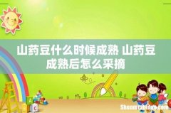山药豆什么时候成熟 山药豆成熟后怎么采摘