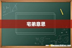 宅弟意思
