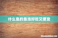 什么鱼的鱼泡好吃又便宜