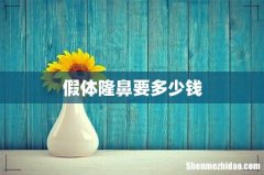 假体隆鼻要多少钱