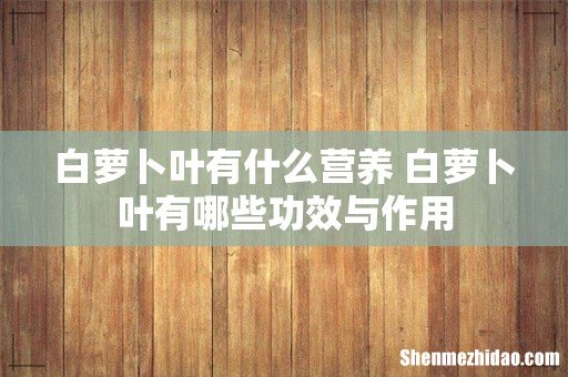 白萝卜叶有什么营养 白萝卜叶有哪些功效与作用
