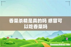 香菜杀精是真的吗 感冒可以吃香菜吗