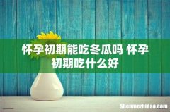 怀孕初期能吃冬瓜吗 怀孕初期吃什么好