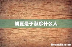 胡夏是于淑珍什么人