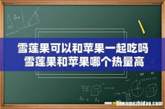 雪莲果可以和苹果一起吃吗 雪莲果和苹果哪个热量高
