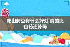 吃山药豆有什么好处 真的比山药还补吗