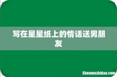写在星星纸上的情话送男朋友