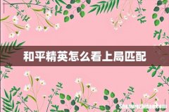 和平精英怎么看上局匹配