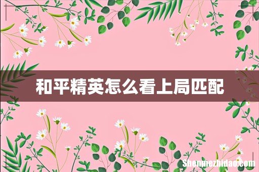 和平精英怎么看上局匹配