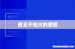 夜王不怕火的原因