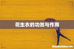 花生衣的功效与作用