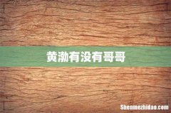 黄渤有没有哥哥