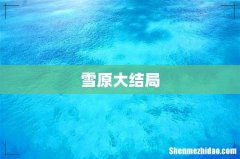 雪原大结局
