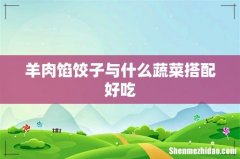 羊肉馅饺子与什么蔬菜搭配好吃