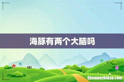 海豚有两个大脑吗